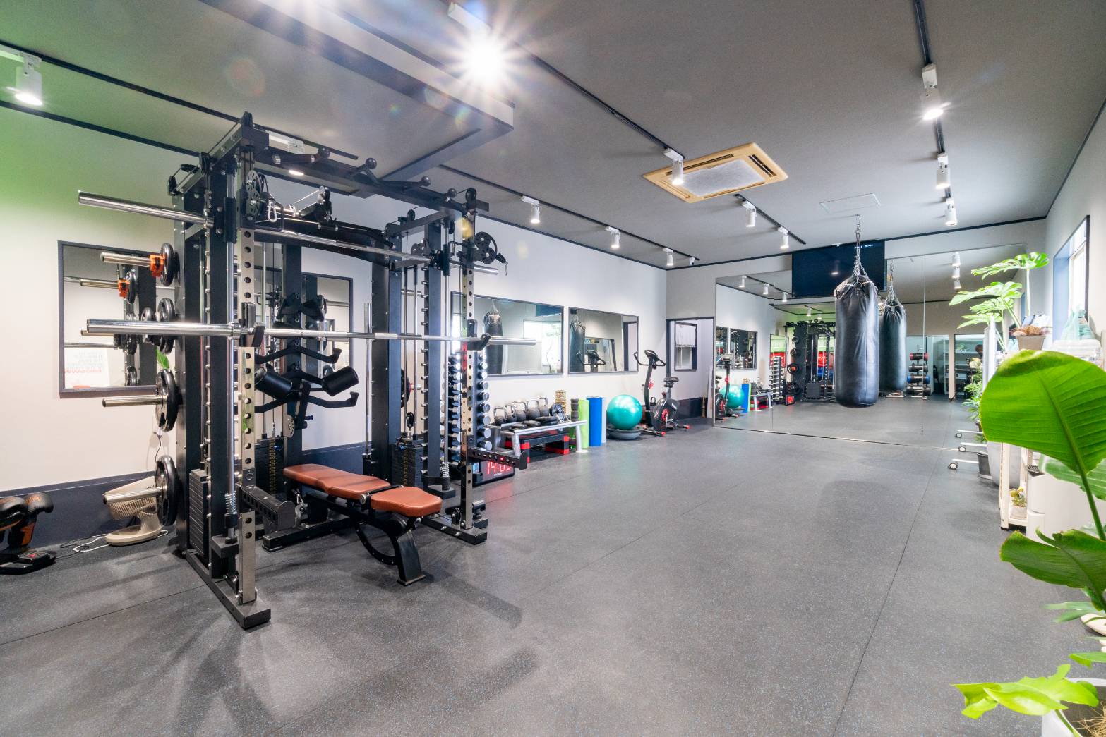 LAZO GYM